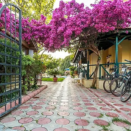 Dedeminn Garden גוג'ק